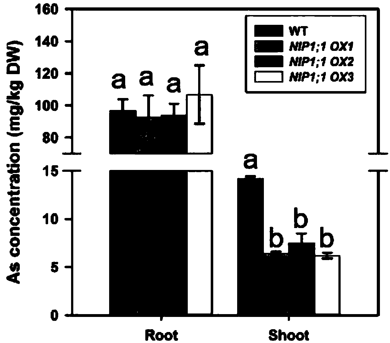 Application of water channel protein coded gene OsNIP1;1 of rice