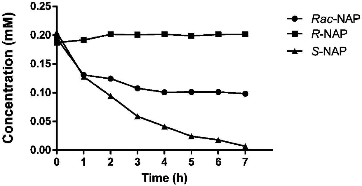 Bacterial strain, amidohydrolase and encoding gene with single conversion function to S-napropamide and application thereof