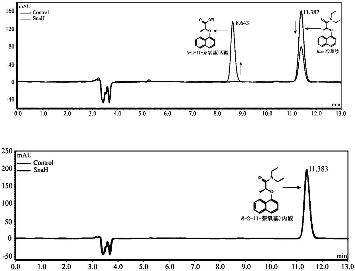 Bacterial strain, amidohydrolase and encoding gene with single conversion function to S-napropamide and application thereof