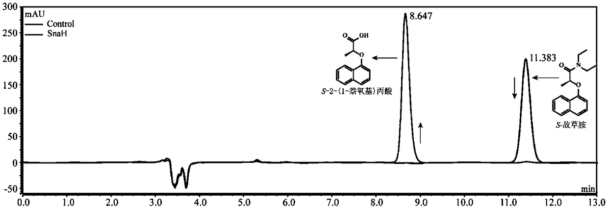 Bacterial strain, amidohydrolase and encoding gene with single conversion function to S-napropamide and application thereof