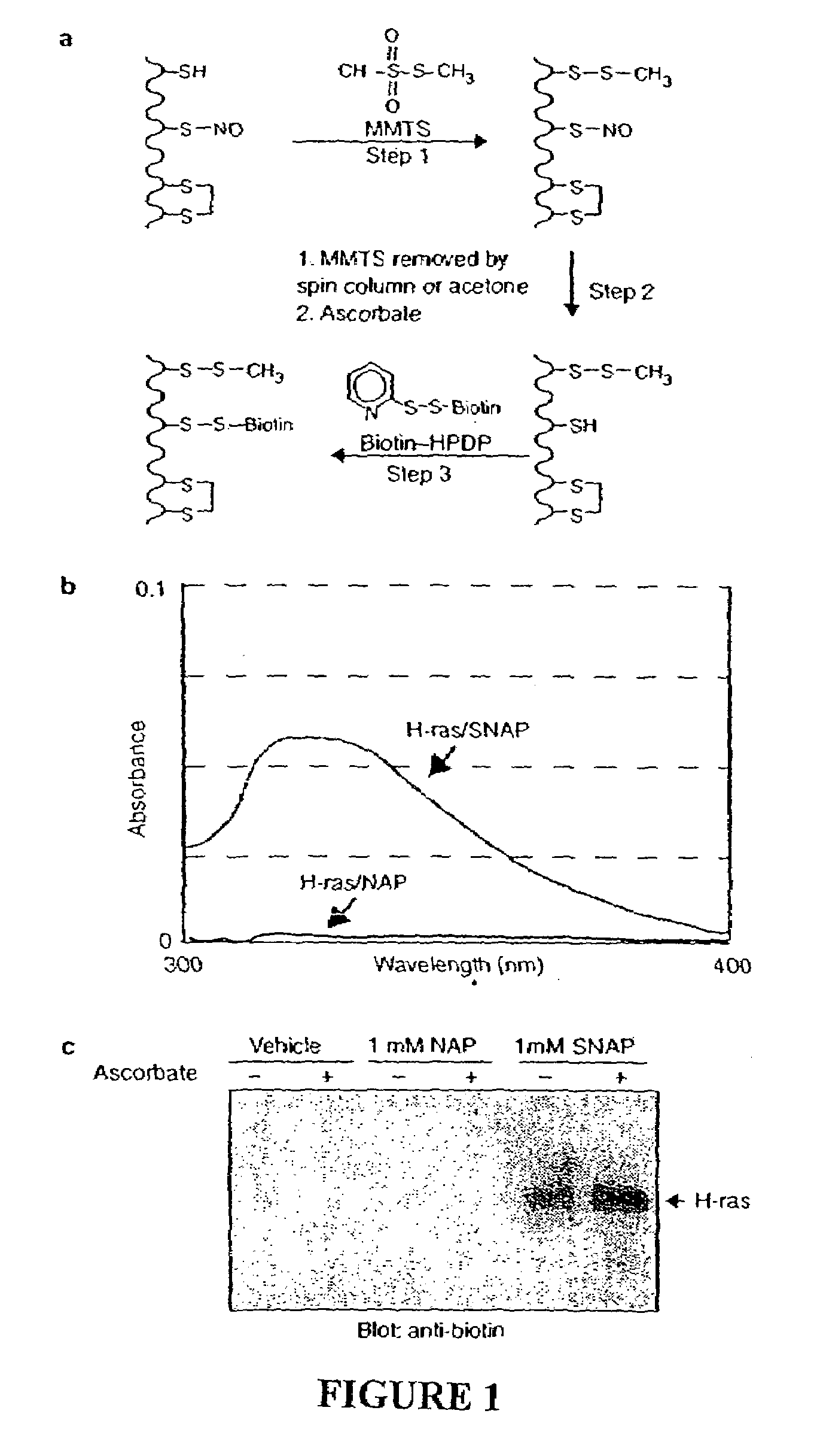 Method for assaying protein nitrosylation