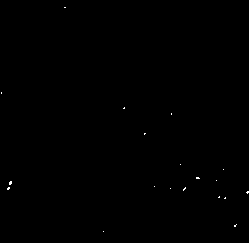 Preparation method of permanent cell line for multiplying orf virus