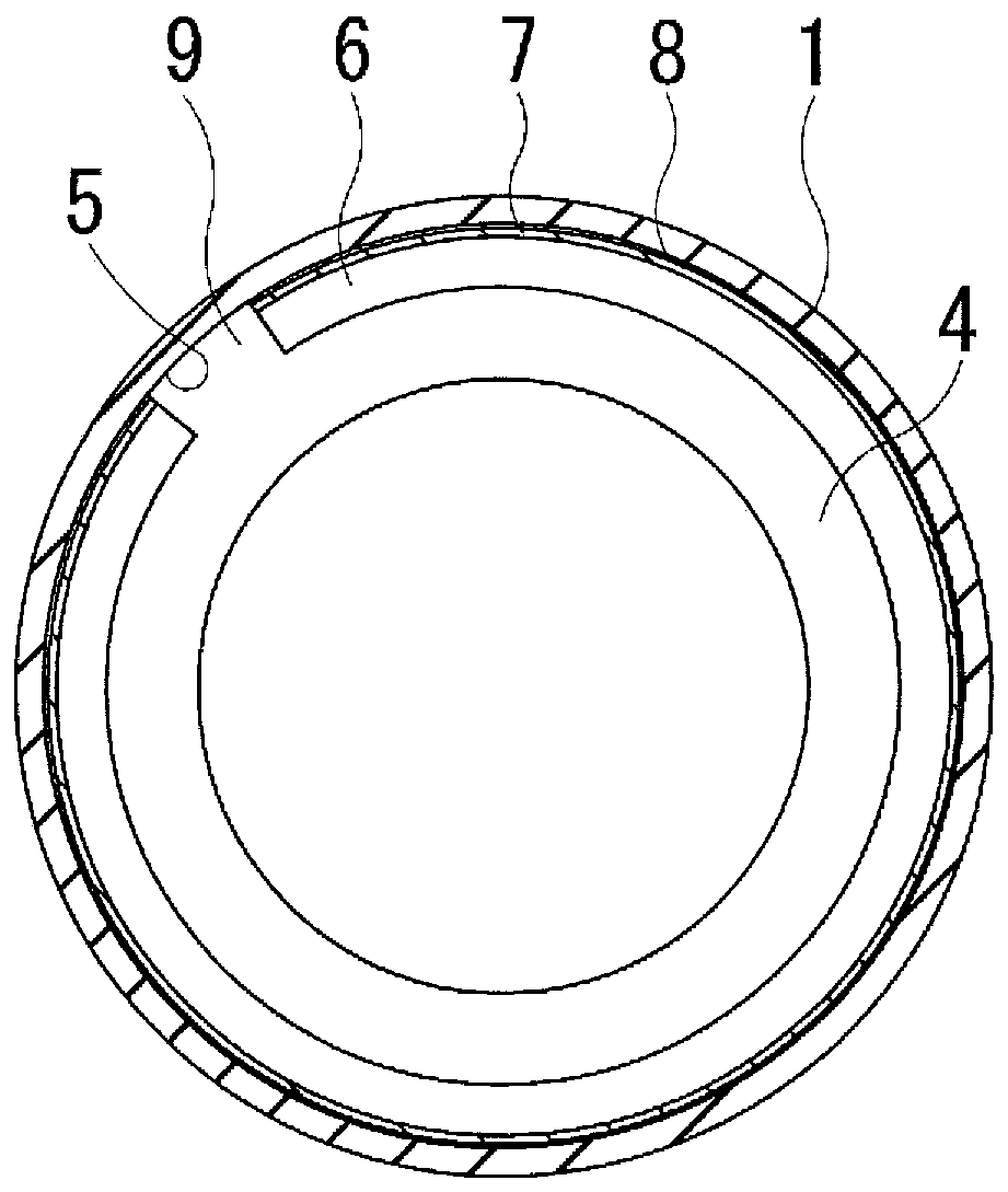 Pneumatic tire and manufacturing method therefor