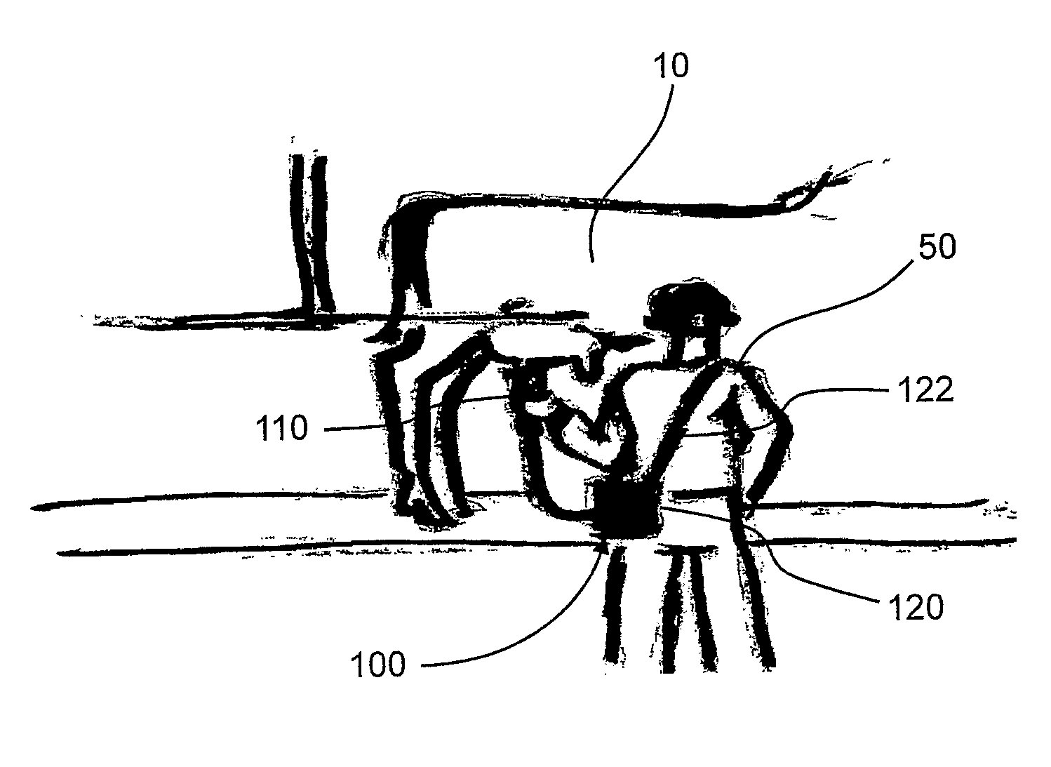 Portable apparatus for milking animals