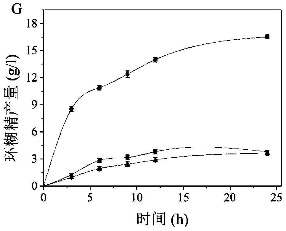 Cyclodextrin glucosyltransferase mutants with high β-cyclization activity