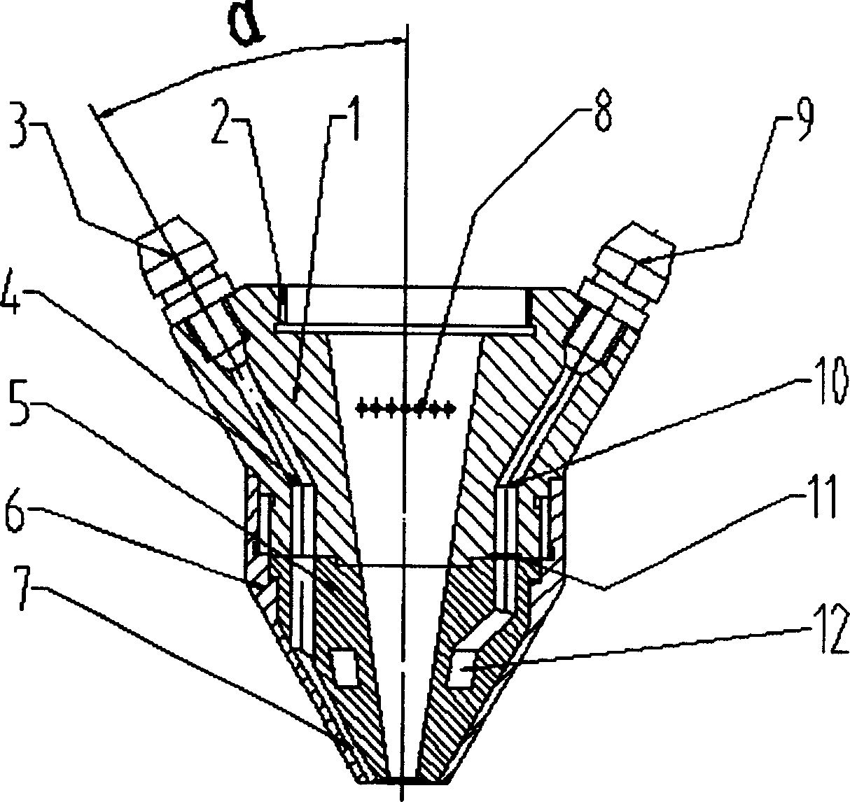 Built-in type jet nozzle for laser melting and coating