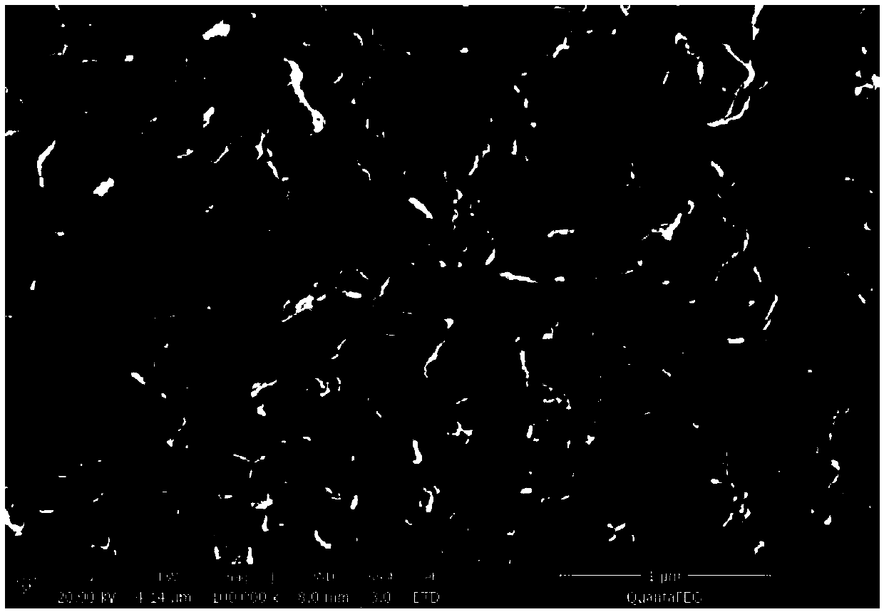 A kind of cofe2o4/g-c3n4 magnetic nano material and preparation method thereof