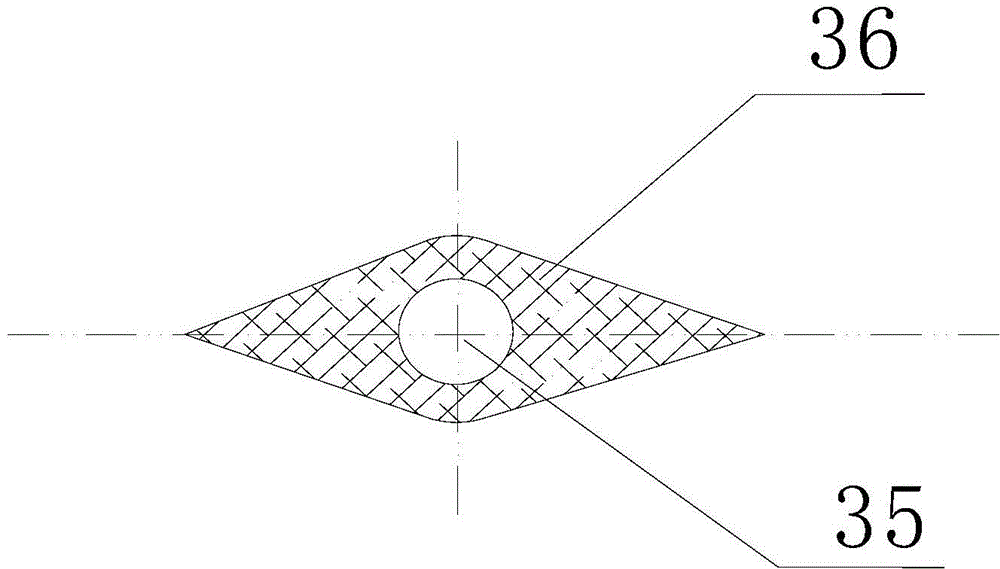 Composite plate formed by co-extruding wood, plastics and foaming layer and preparation method thereof