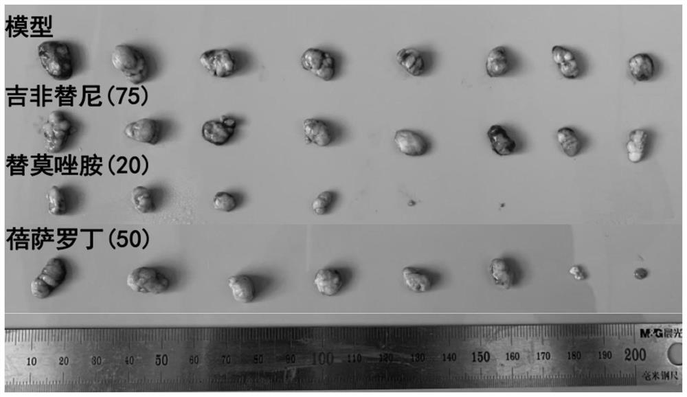 Application of Bexarotene in preparation of medicine for resisting pituitary adrenocorticotropic hormone adenoma