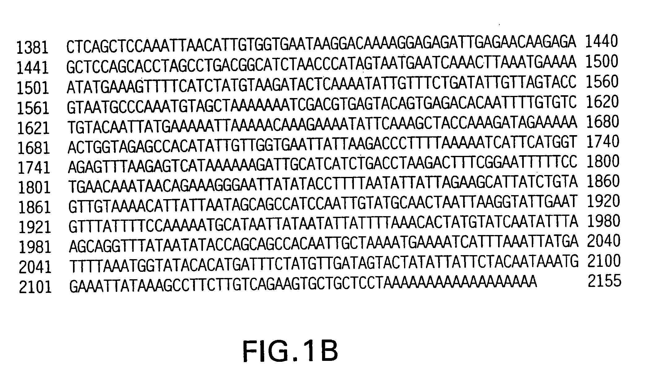 Soluble interleukin-1 receptor accessory molecule