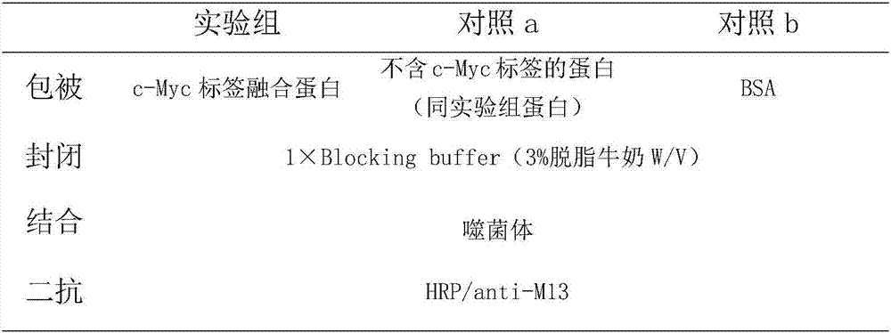 Immunoaffinity material specifically adsorbing c-Myc label single domain heavy chain antibody