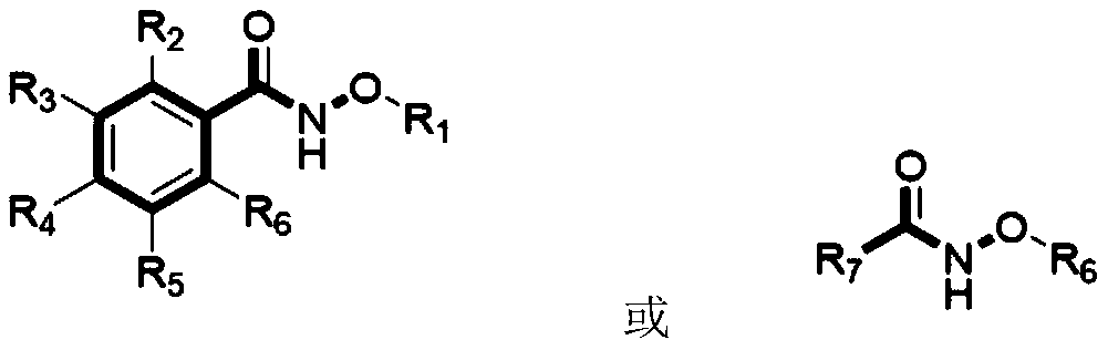 Practical method for synthesizing novel bioactive molecule with N-methoxy-amide as nitrogen source