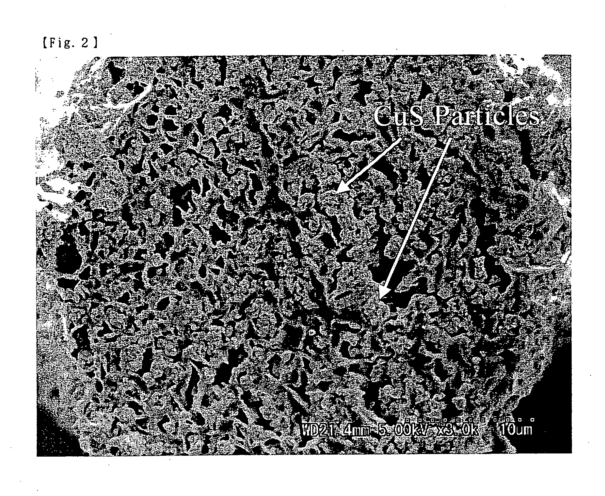 Conductive polyvinyl alcohol fiber