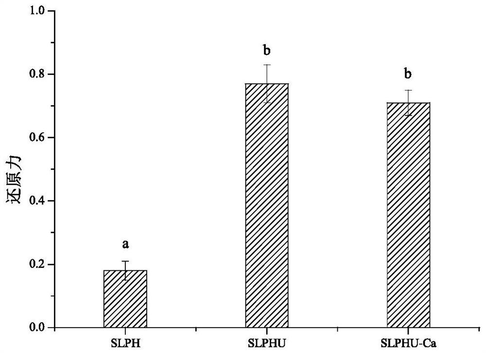 A preparation method of schizochytrid peptide chelated calcium with antioxidant activity