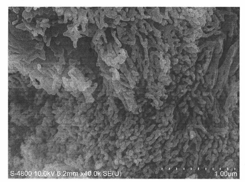 Preparation of Co3O4 nanotube array