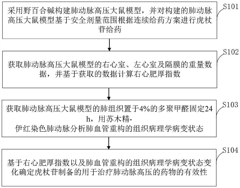 Application of polydatin in preparation of medicine for treating pulmonary arterial hypertension