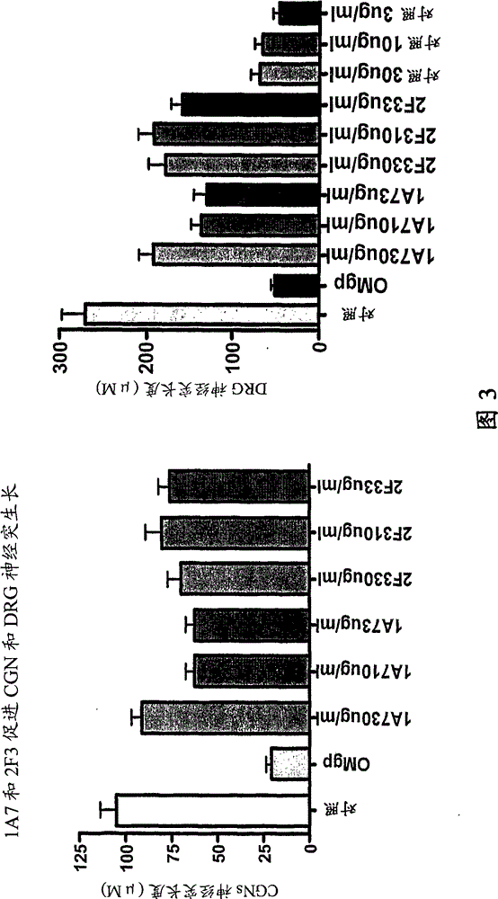 SP35 antibodies and uses thereof