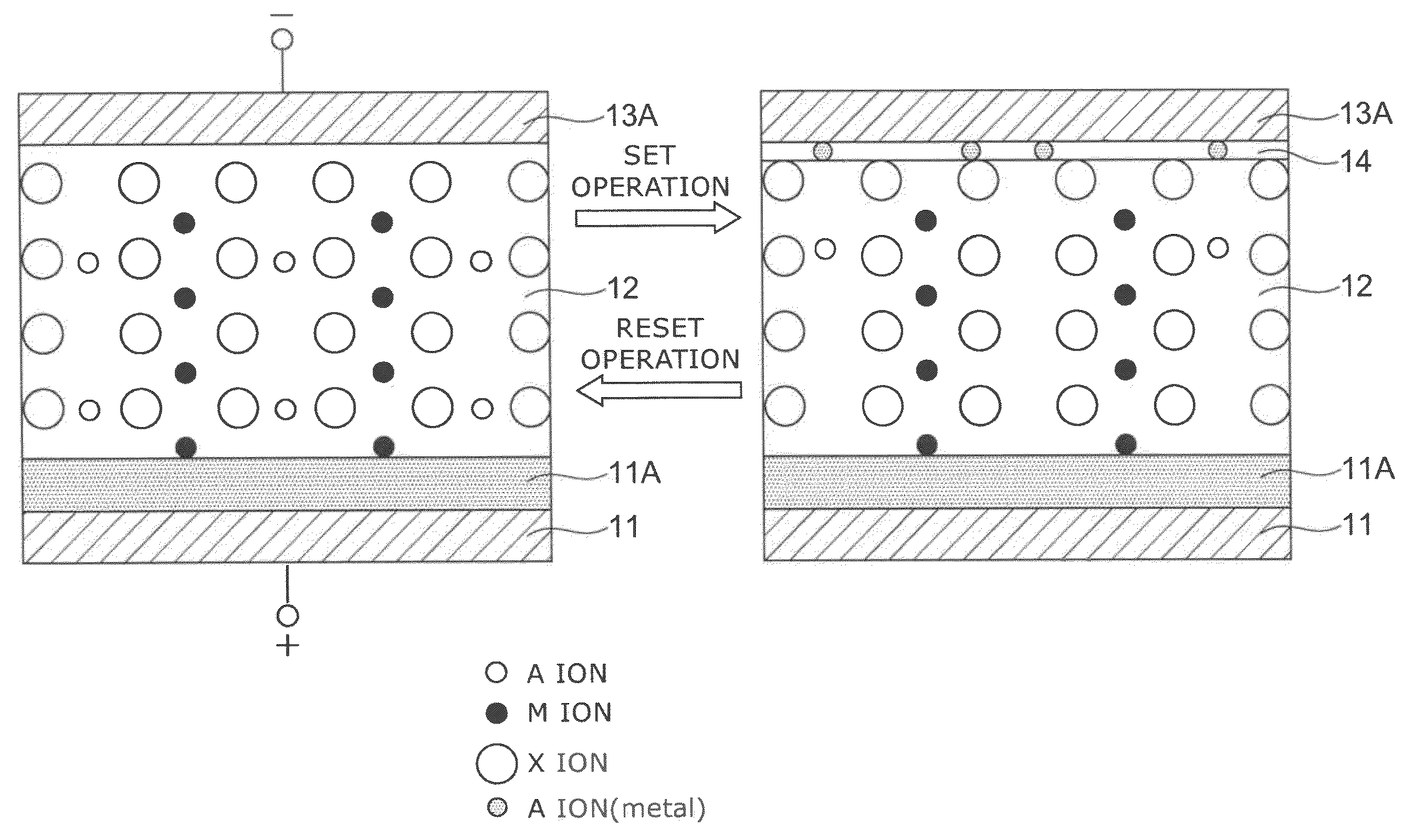 Information recording and reproducing apparatus