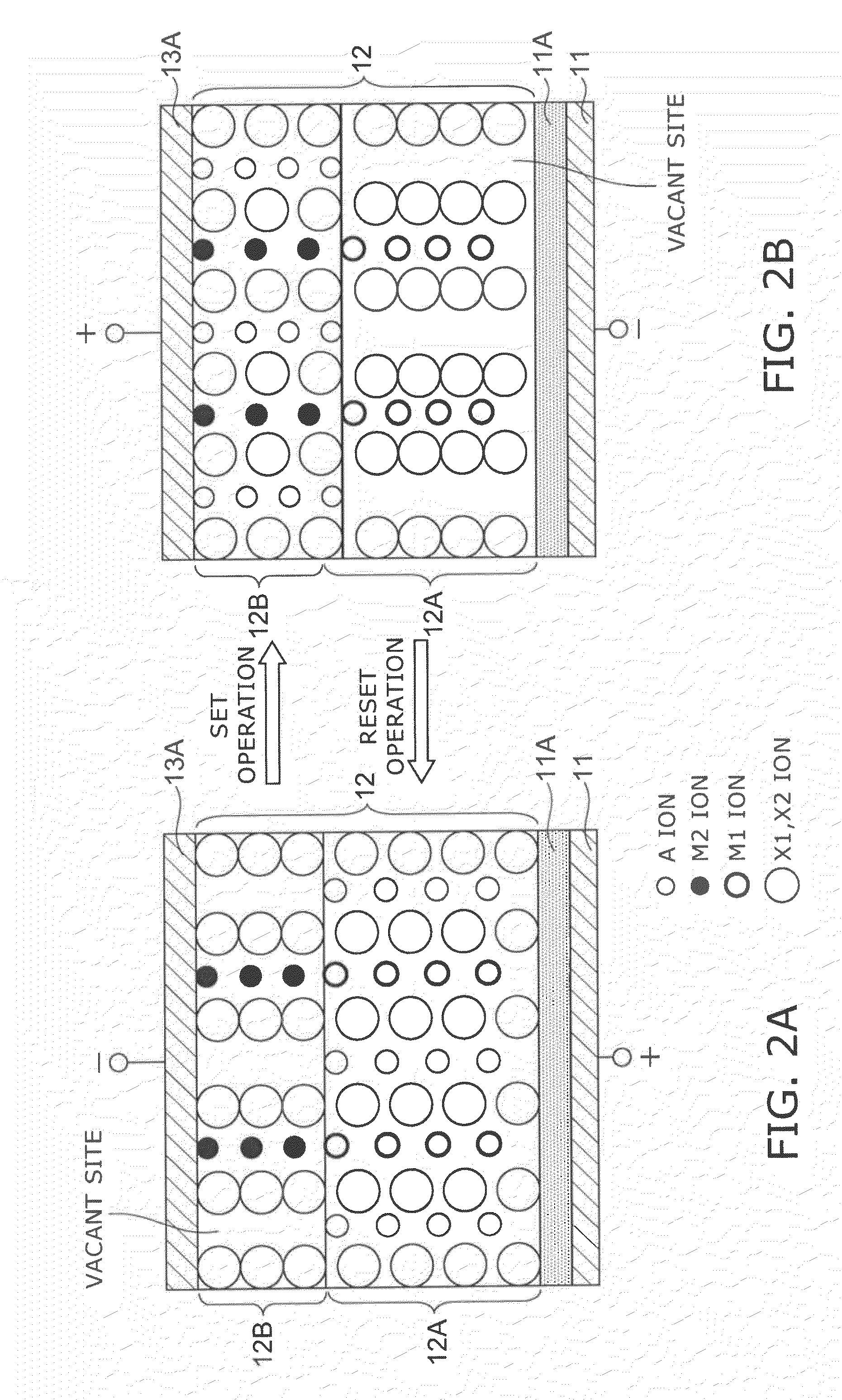 Information recording and reproducing apparatus