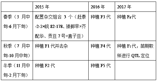 Rapid generation adding method for triple cropping of spring soybean filial generation