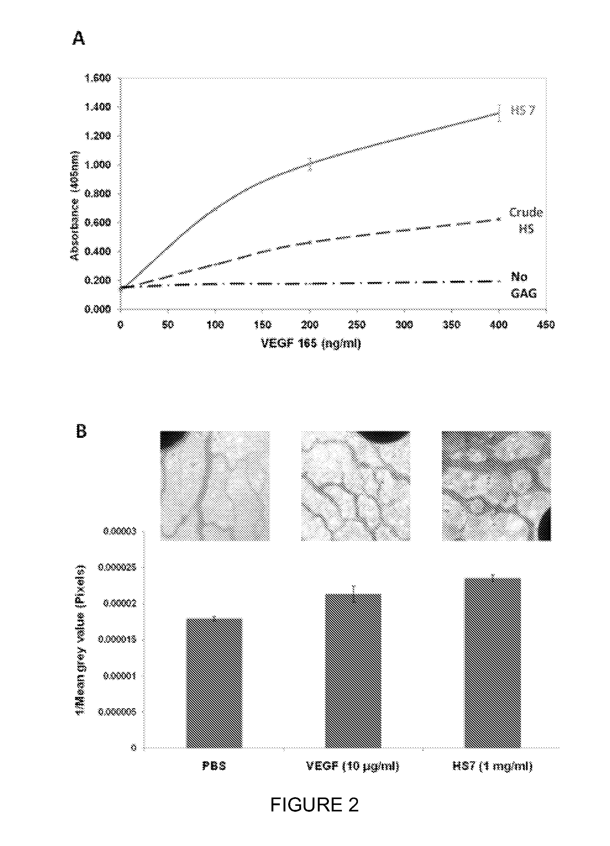 Glycosaminoglycans