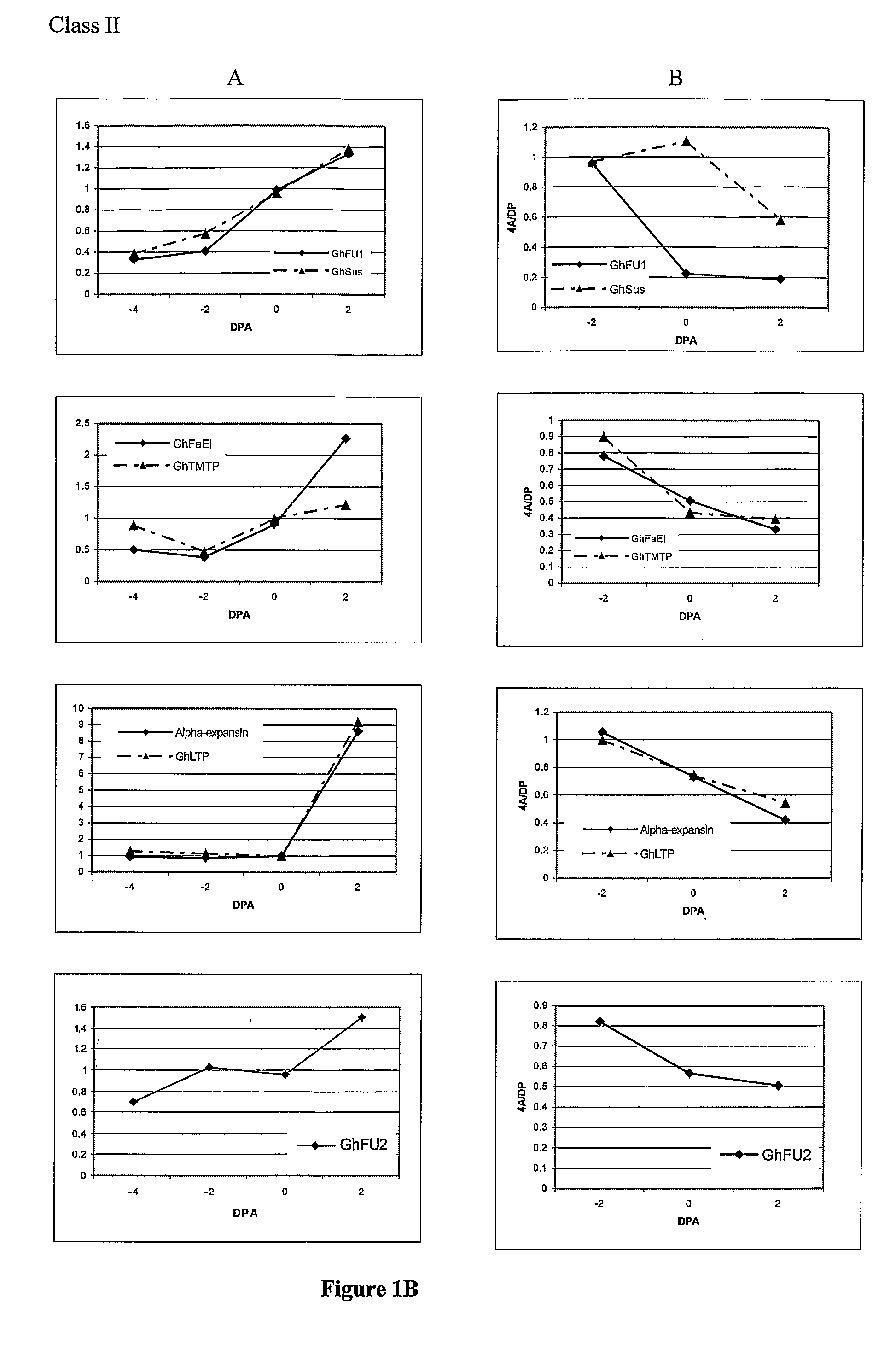 Genes Involved in Plant Fibre Development