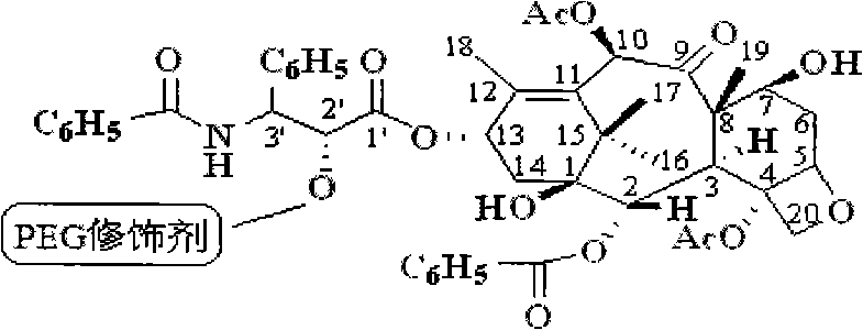 Taxol prodrug using polyethylene glycol as carrier as well as preparation method and chemical modifier thereof