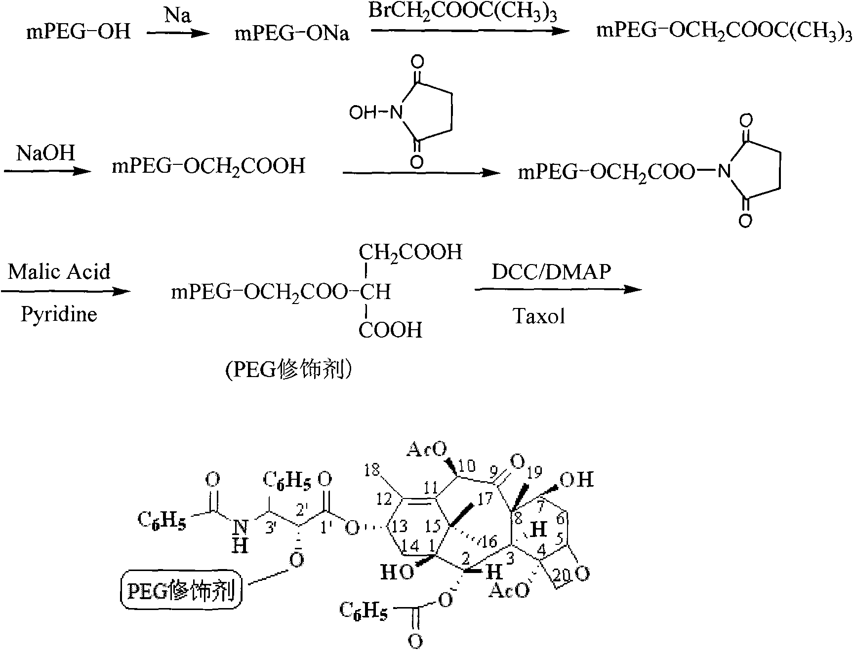 Taxol prodrug using polyethylene glycol as carrier as well as preparation method and chemical modifier thereof