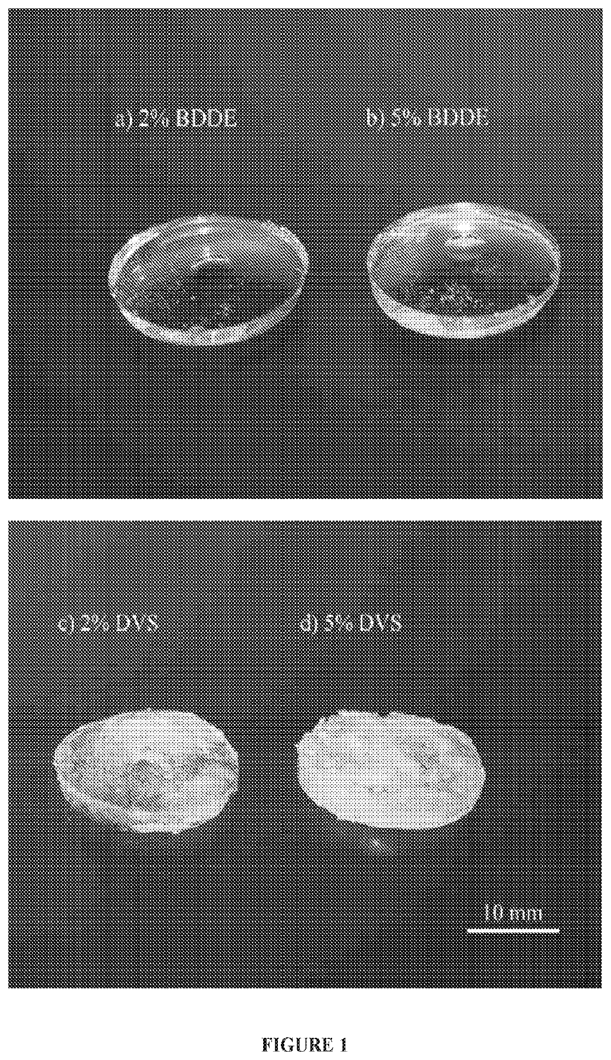 Cross-linked hyaluronic acid hydrogels comprising proteins