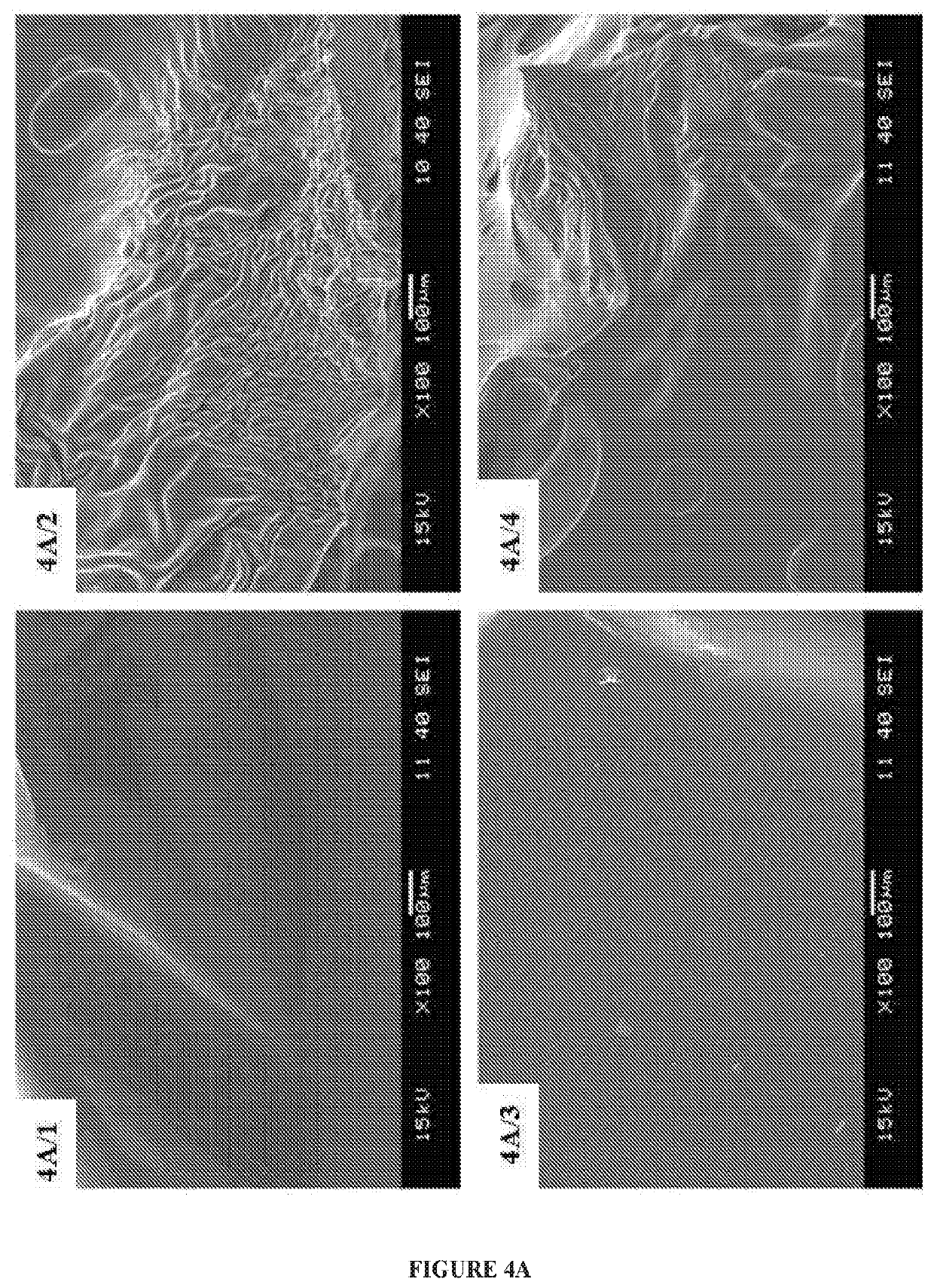 Cross-linked hyaluronic acid hydrogels comprising proteins