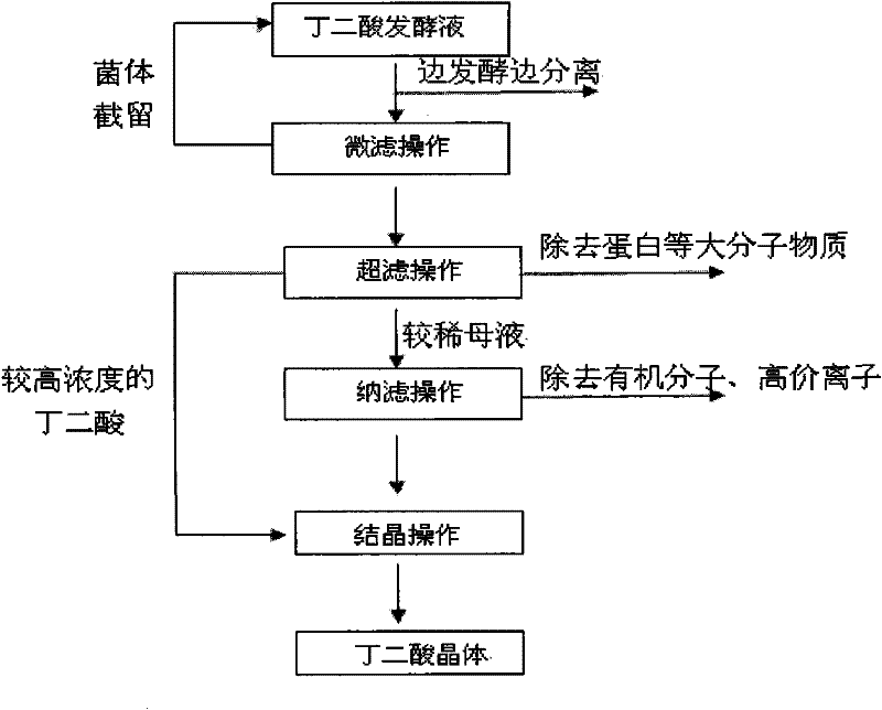 Succinic acid separating apparatus and method based on full membrane separation system