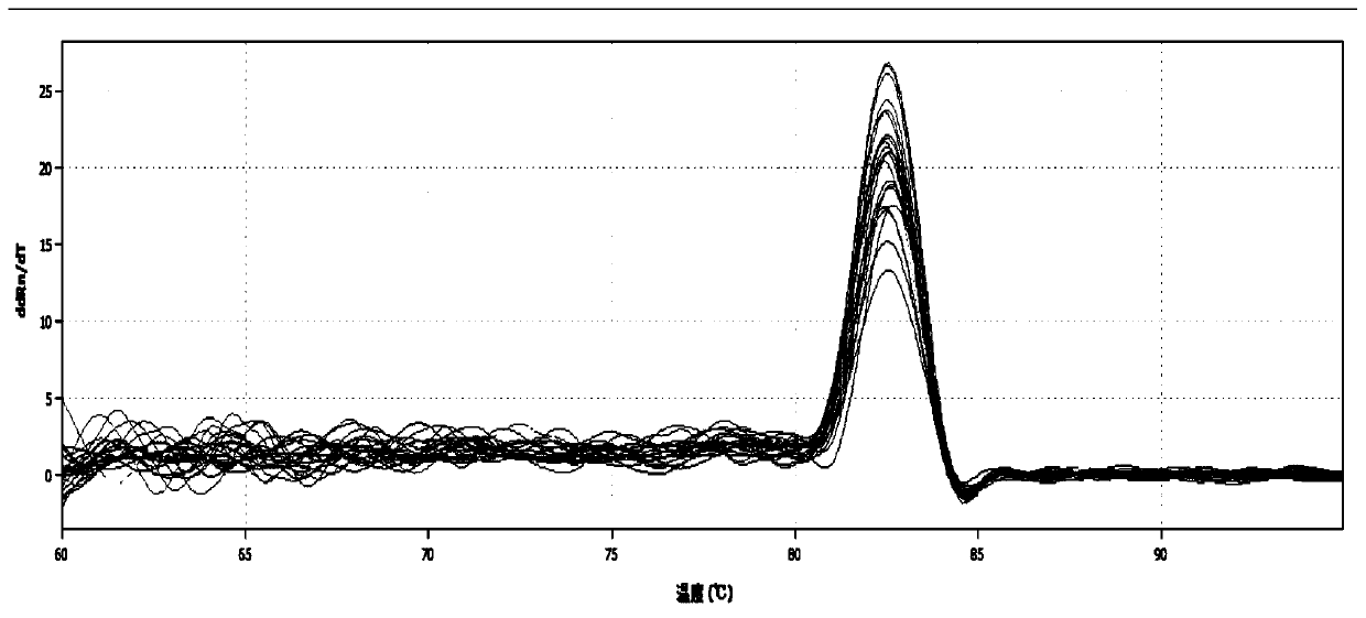 Passiflora internal reference gene pegbp and its screening method and application