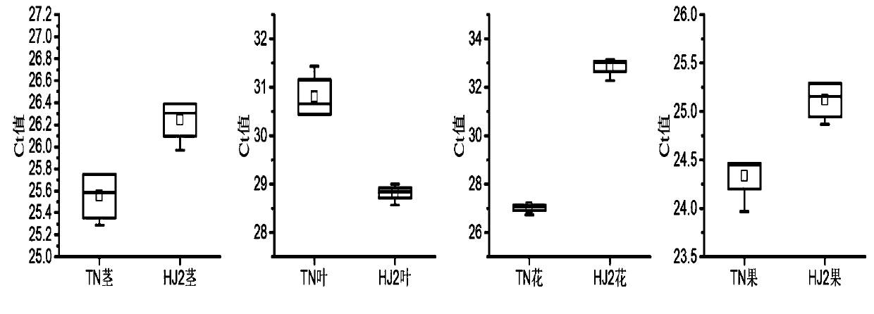 Passiflora internal reference gene pegbp and its screening method and application