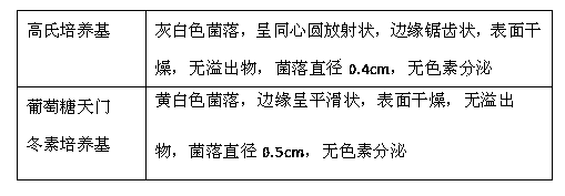 Actinomycete Streptomycesbottropensis and application thereof