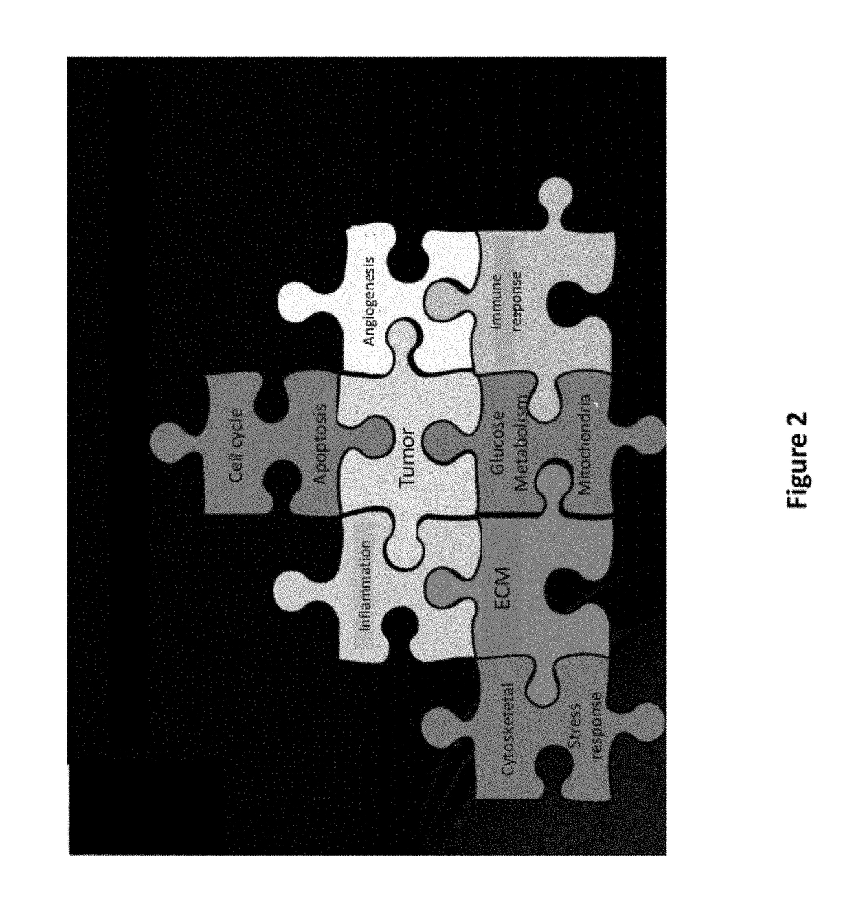 Interrogatory cell-based assays and uses thereof