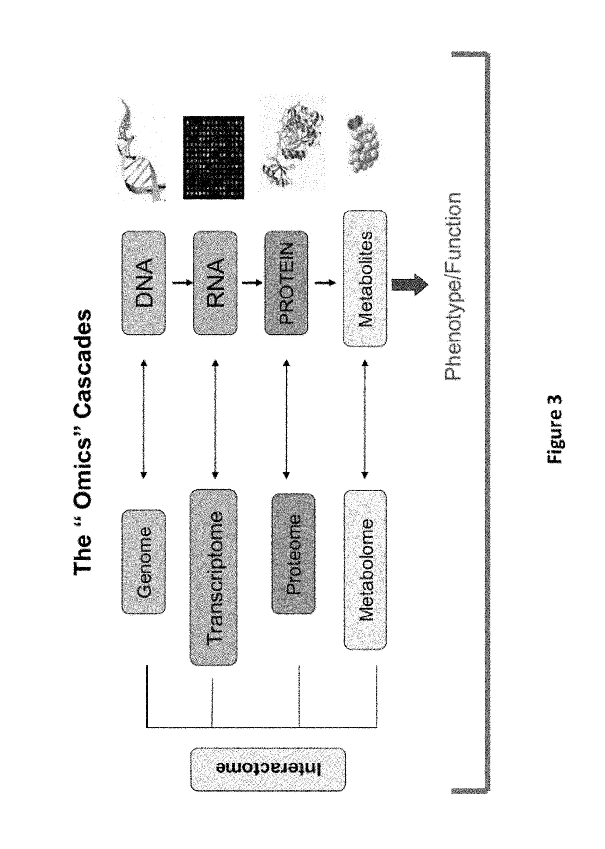 Interrogatory cell-based assays and uses thereof