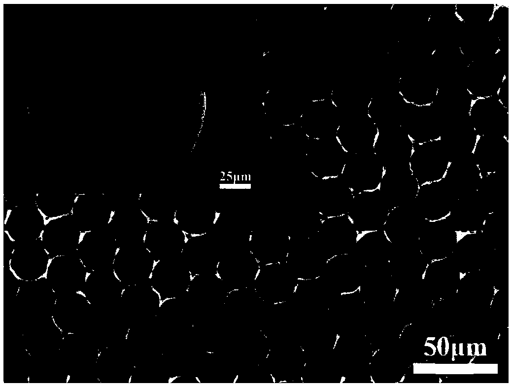 Preparation method and application of 3D ordered titanium dioxide inverse opal photonic crystal microsphere