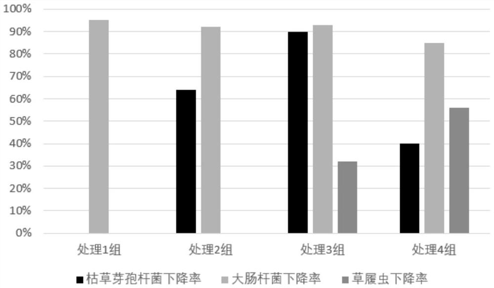 Feeding additive for barbus hollandi fry and application of feeding additive in barbus hollandi fry cultivation