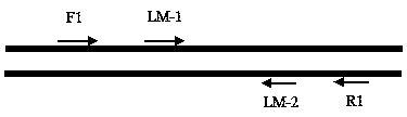 PCDR (polymerase chain displacement reaction) detection reagent for food-borne pathogenic bacterium listeria monocytogenes