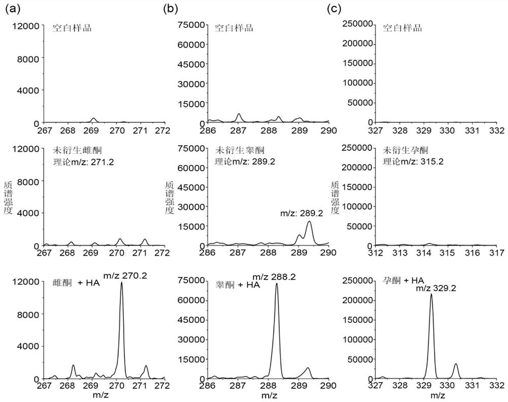 Method for detecting steroid hormones in biological sample and kit used in method