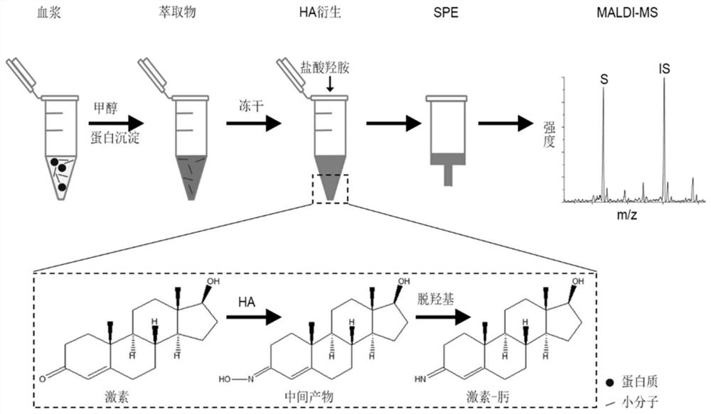 Method for detecting steroid hormones in biological sample and kit used in method