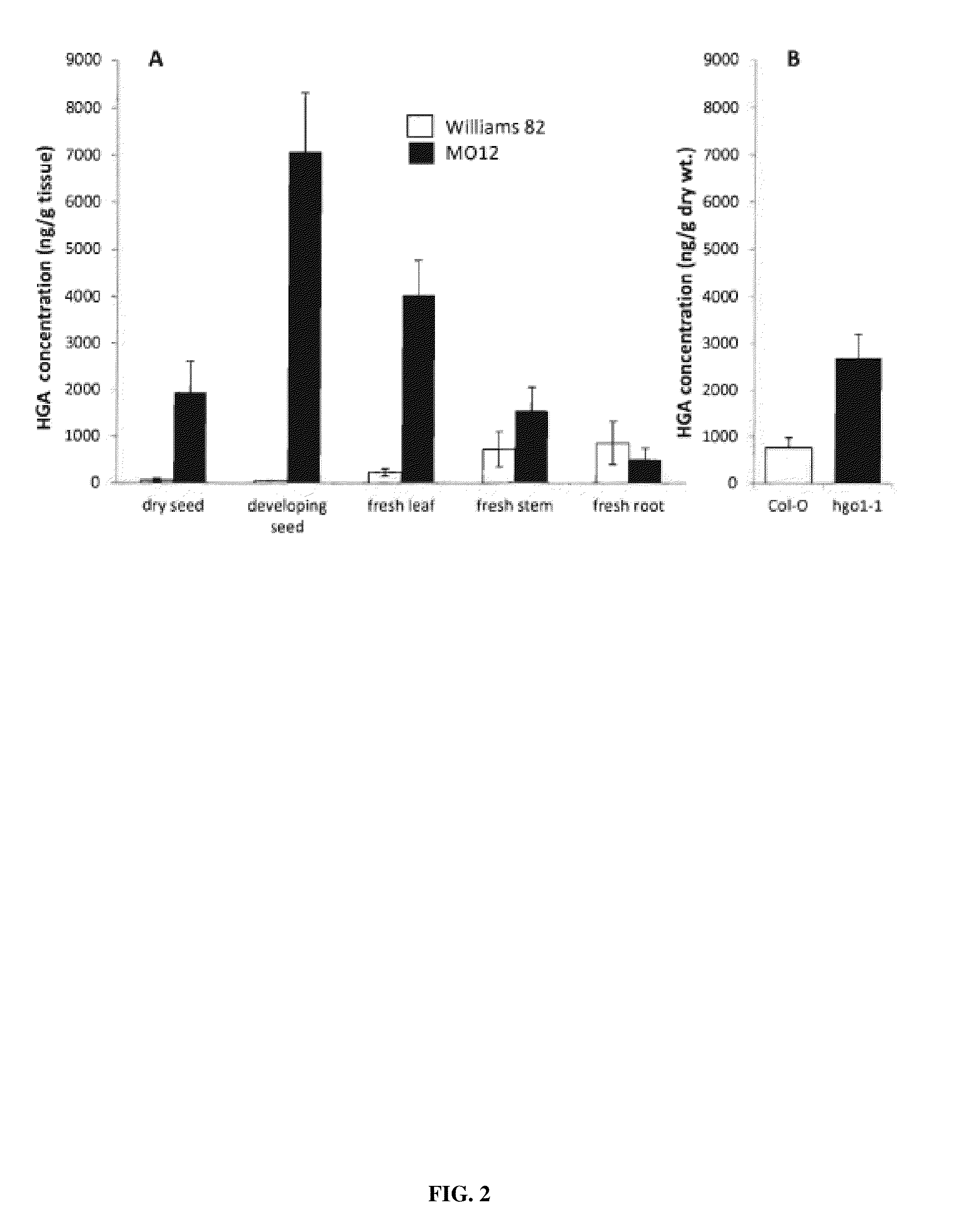 Metabolic engineering of plants for increased homogentisate and tocochromanol production