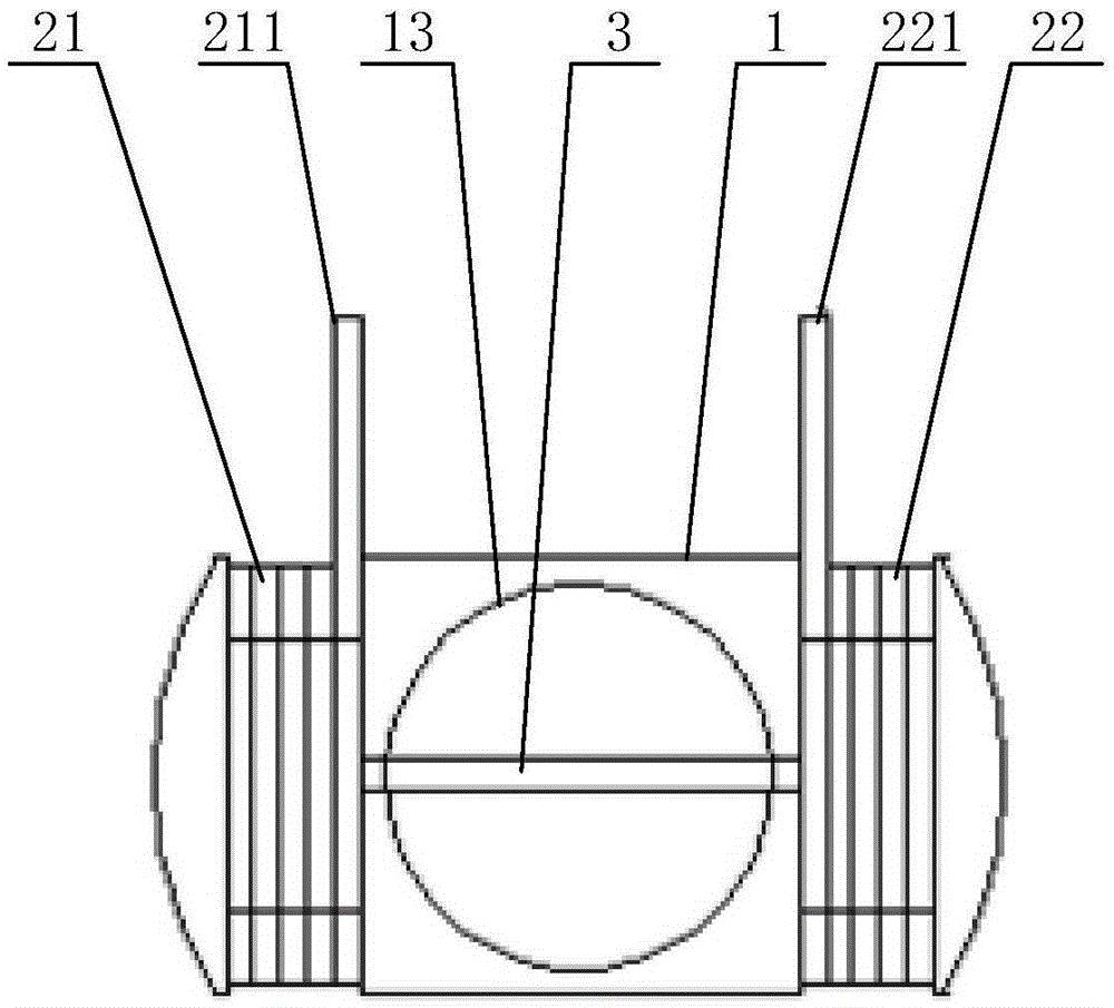 Magnetization device