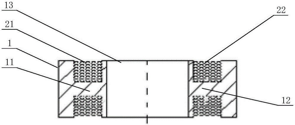 Magnetization device