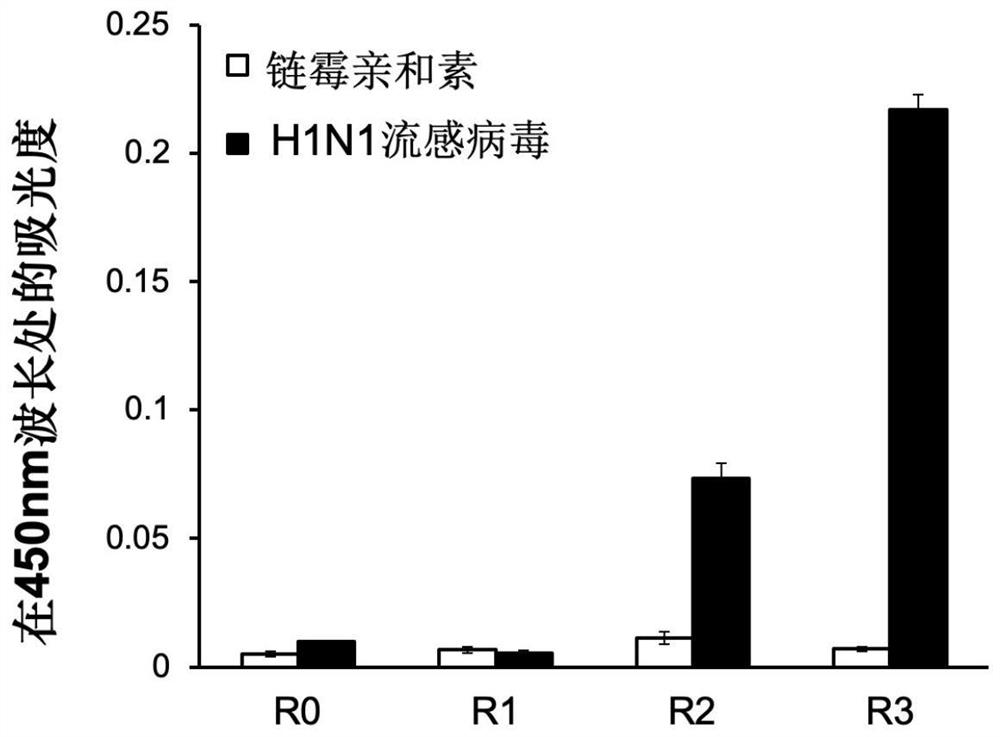 A h1n1 influenza virus antibody and its application in ultra-trace detection of h1n1 virus