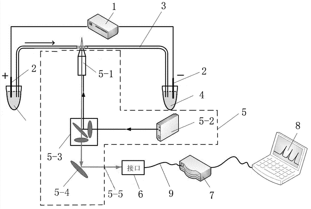 Capillary electrophoresis fluorescence detection device