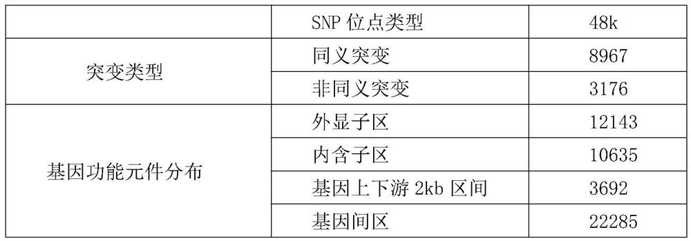 Whole-genome 50KSNP chip for apostichopus japonicus breeding and application