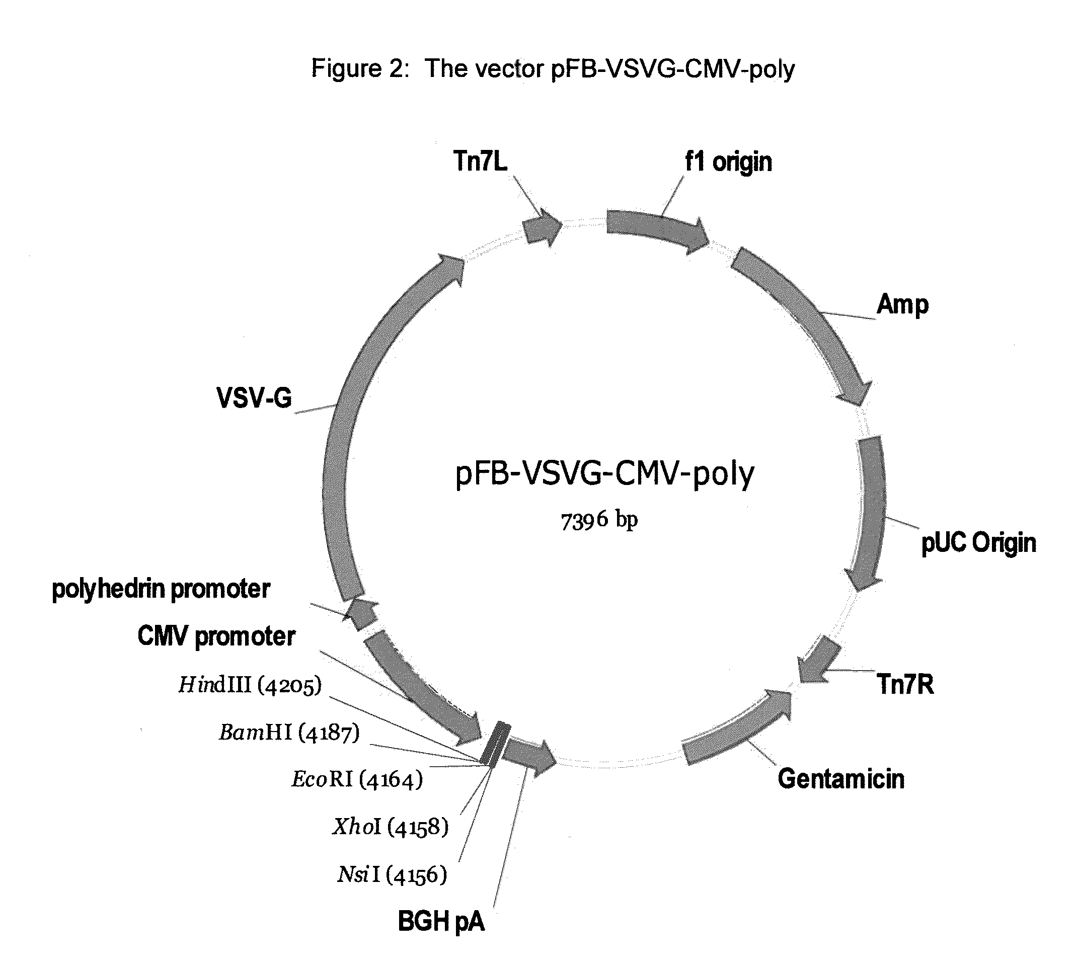 GPR 119 modulators