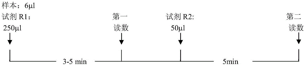 A serum albumin detecting reagent and a serum albumin detecting method