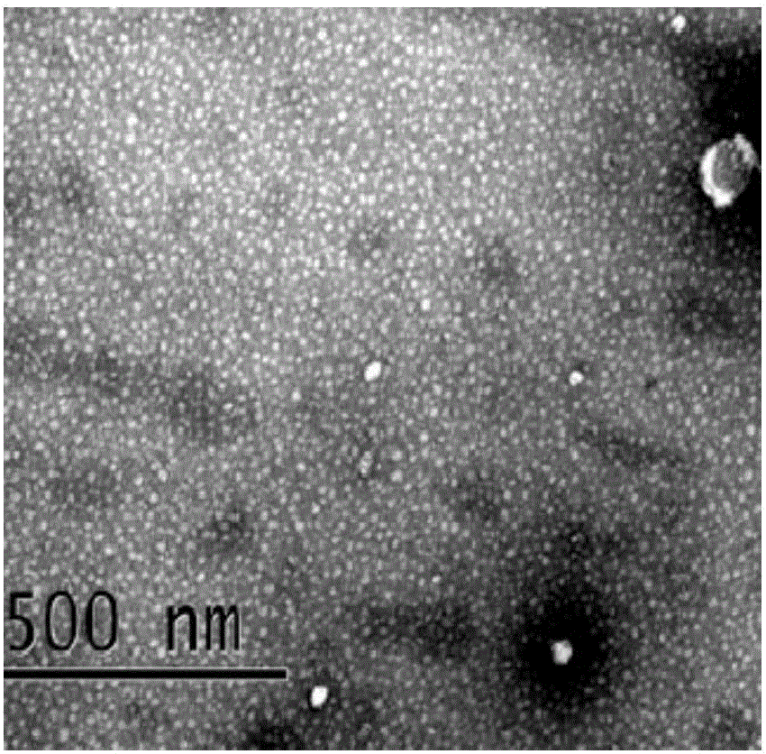 Stem cell exosome preparation, and preparation method and application thereof